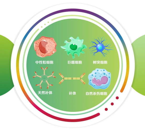 后疫情时代，强健免疫力是重中之重