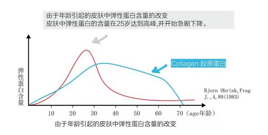 寻回遗失胶原，时间因你而美--金枪鱼生物活性肽